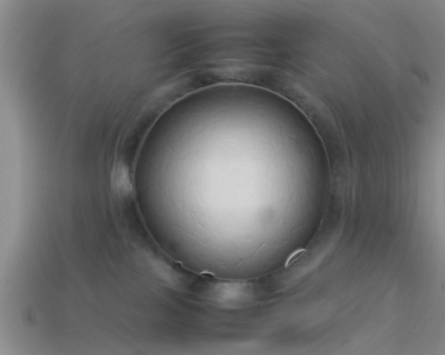 X0000114150089200910151554