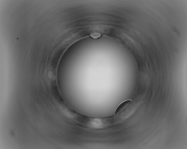 X0000114150091200910151554