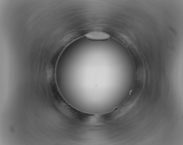 X0000114150092200910151554