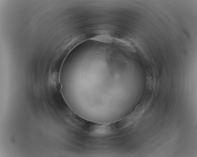 X0000114150093200910151554