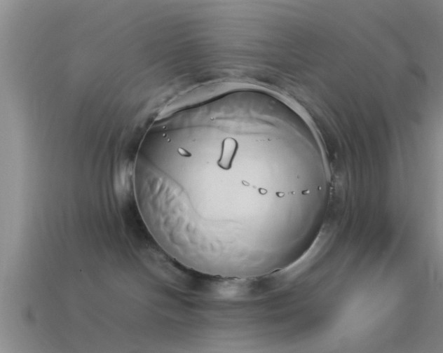 X0000114150094200910151554