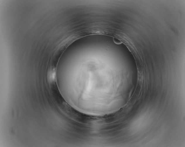 X0000114150095200910151554