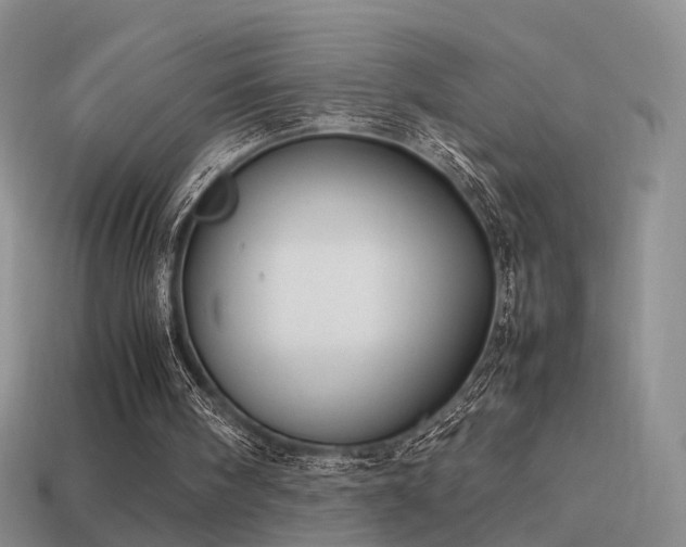 X0000114150098200910151553