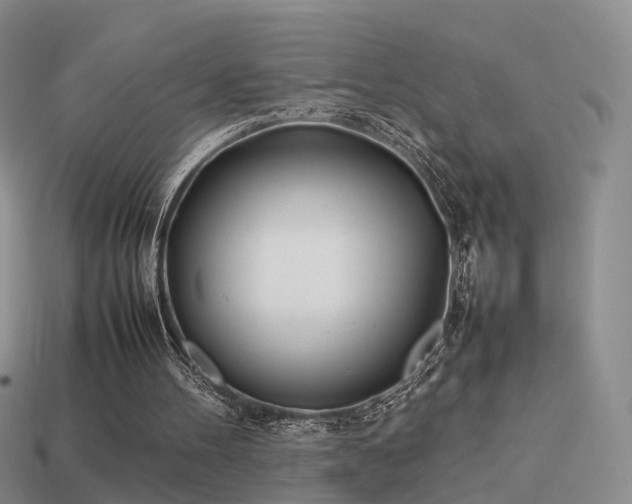 X0000114150100200910151553