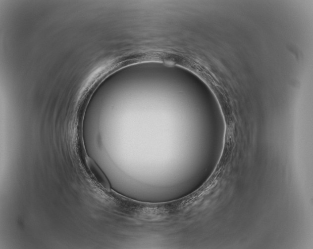 X0000114150101200910151553