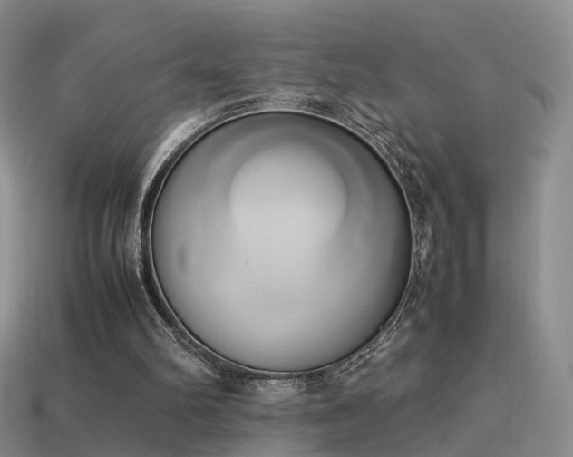 X0000114150102200910151553