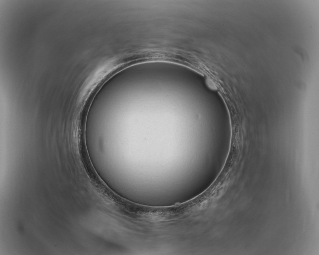 X0000114150103200910151553