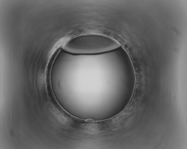 X0000114150104200910151553