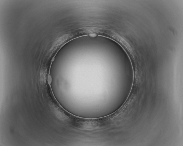 X0000114150105200910151553