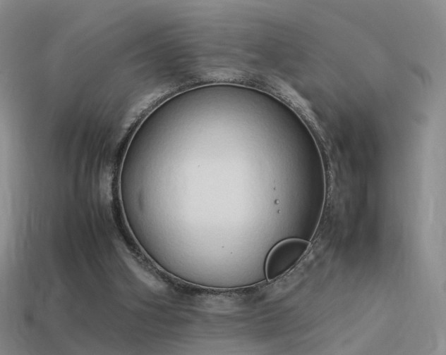 X0000114150106200910151553