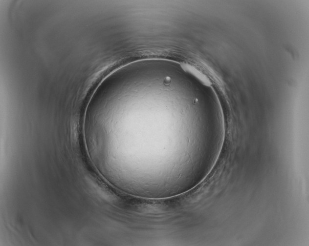 X0000114150107200910151553