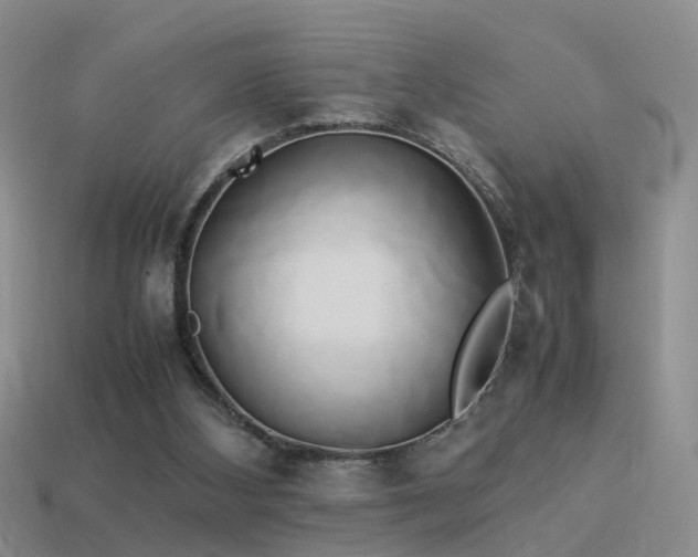 X0000114150108200910151553