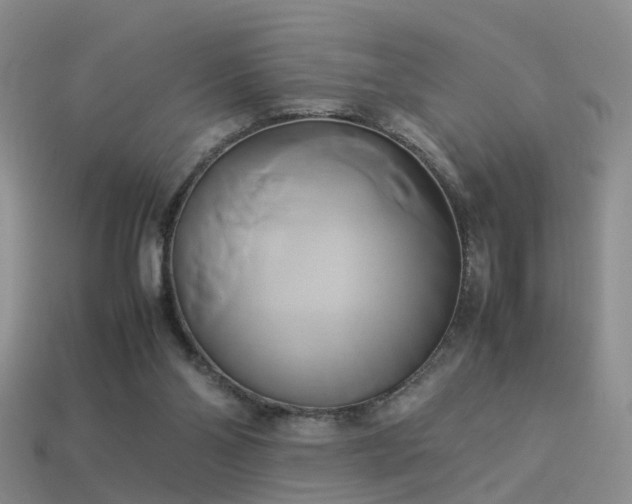 X0000114150110200910151553