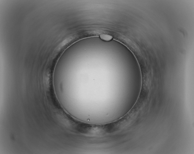 X0000114150111200910151553