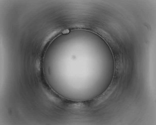 X0000114150112200910151553