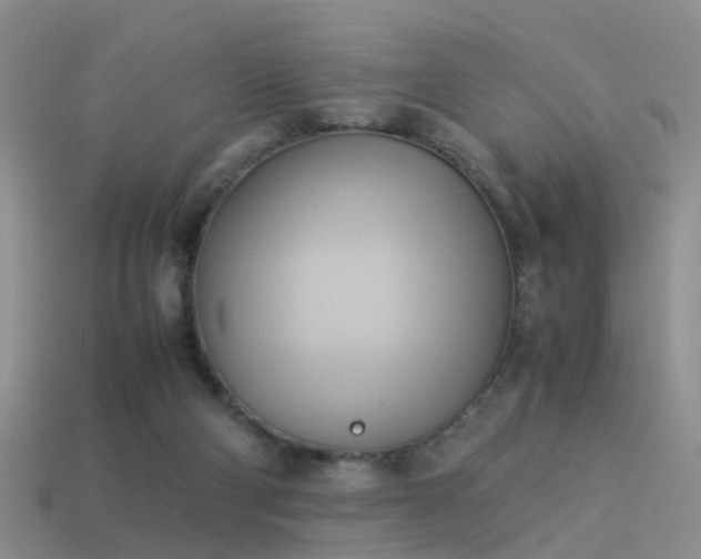 X0000114150114200910151553