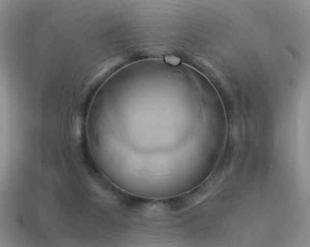 X0000114150115200910151553