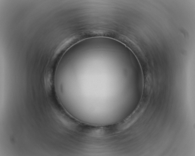 X0000114150116200910151553