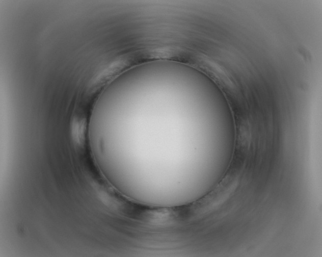 X0000114150118200910151553