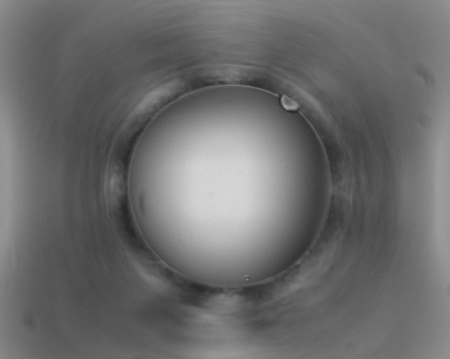 X0000114150119200910151553