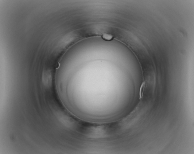 X0000114150120200910151553