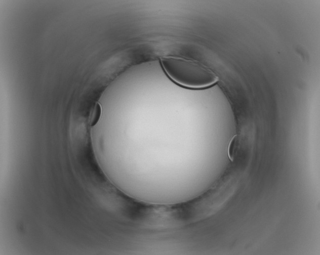 X0000114150121200910151553