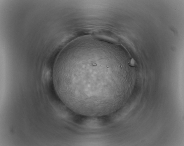 X0000114150123200910151553