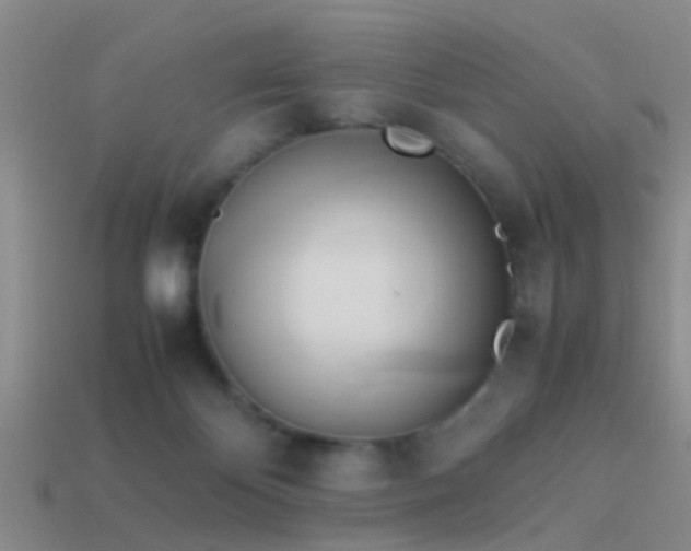 X0000114150124200910151553