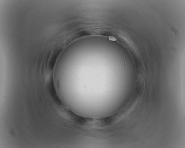 X0000114150125200910151553