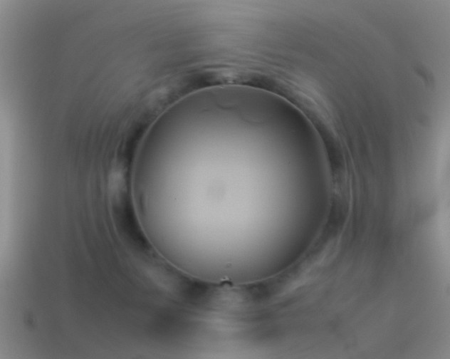 X0000114150127200910151553