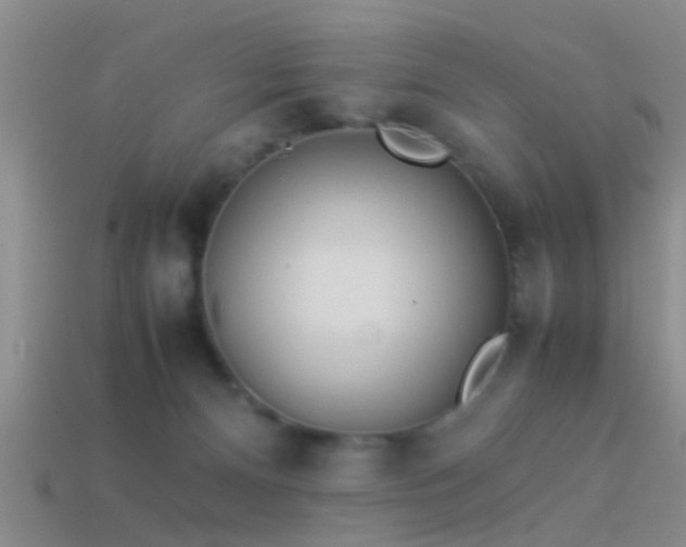 X0000114150128200910151553