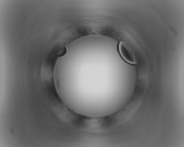 X0000114150129200910151553