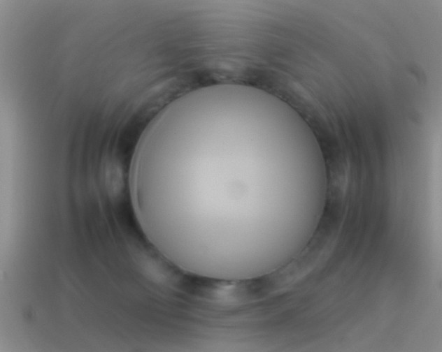 X0000114150130200910151553