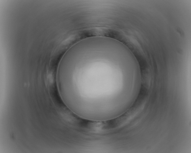 X0000114150131200910151553