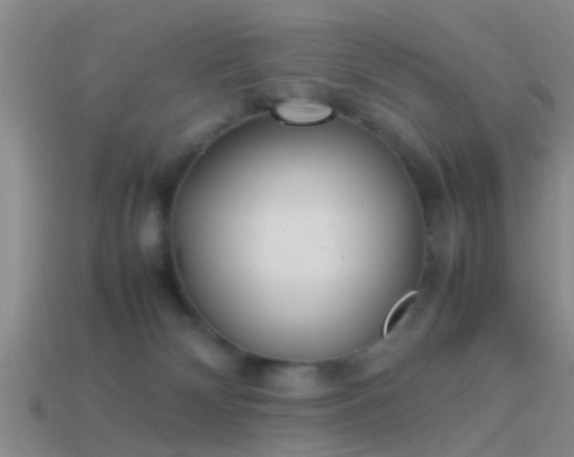 X0000114150132200910151553