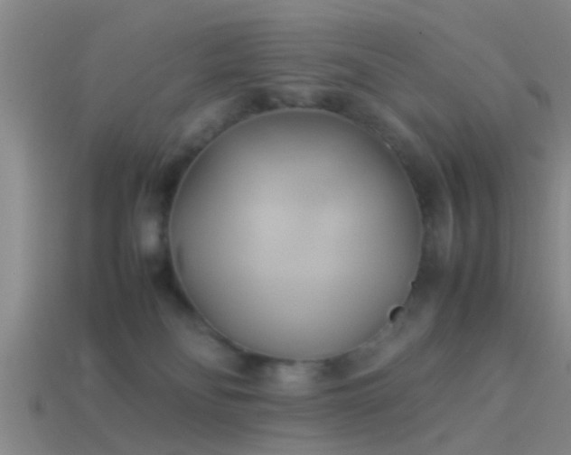 X0000114150134200910151552