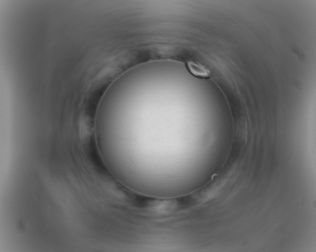 X0000114150135200910151552