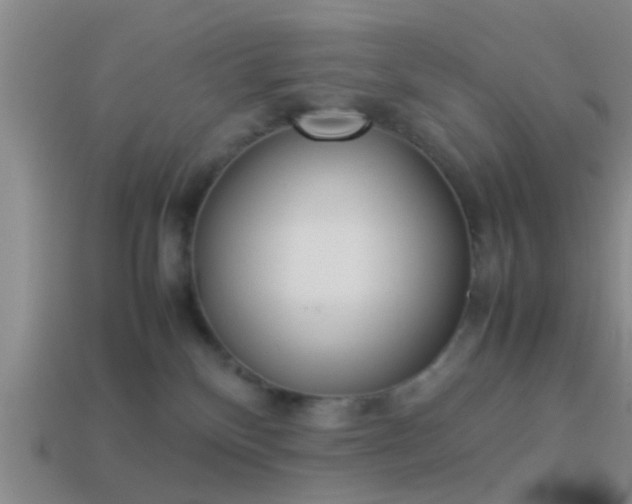 X0000114150136200910151552