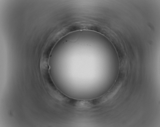 X0000114150137200910151552