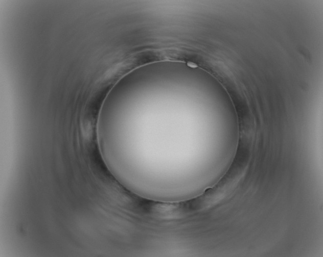 X0000114150139200910151552