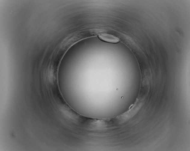 X0000114150140200910151552