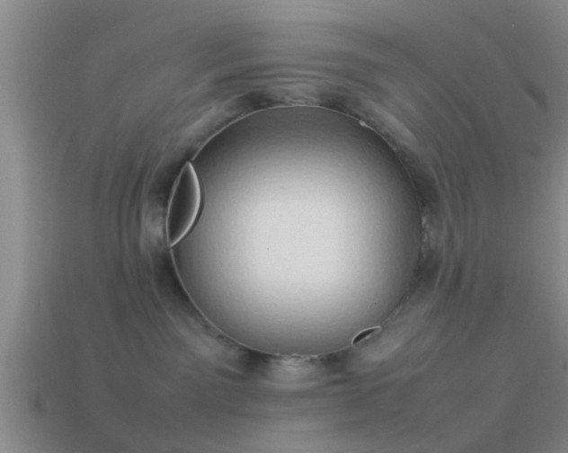 X0000114150141200910151552