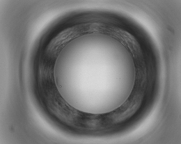 X0000114150142200910151552