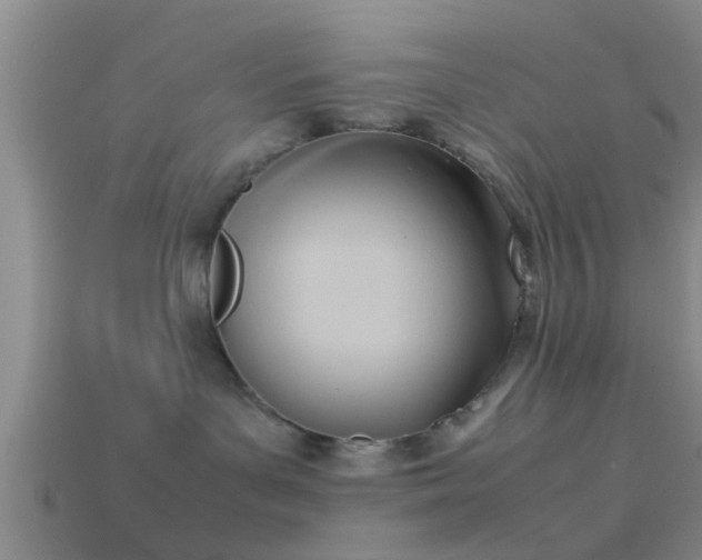 X0000114150143200910151552