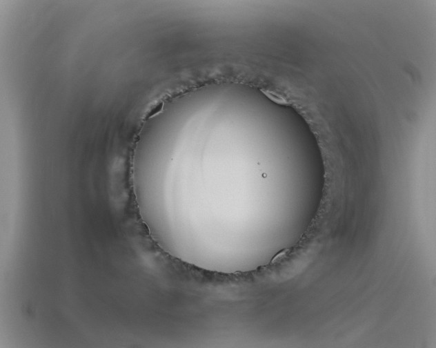 X0000114150144200910151552