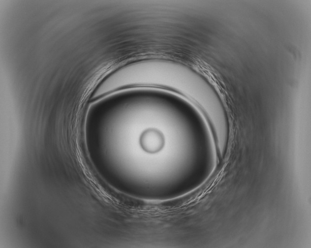 X0000114150145200910151552