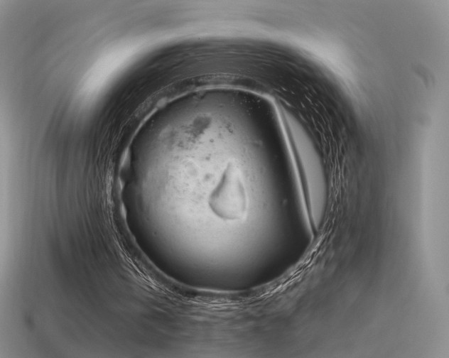 X0000114150146200910151552