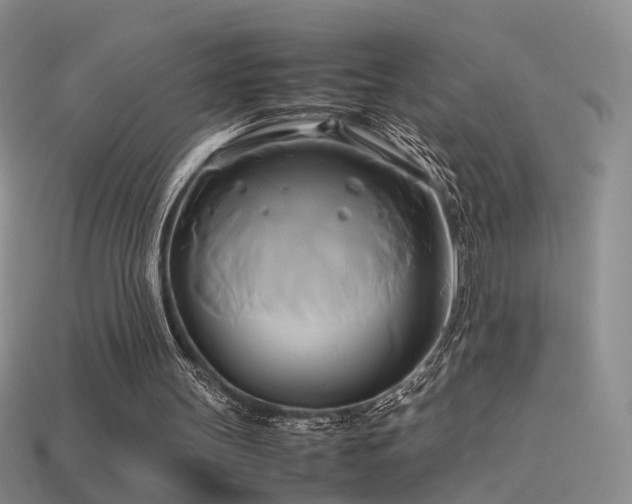 X0000114150147200910151552