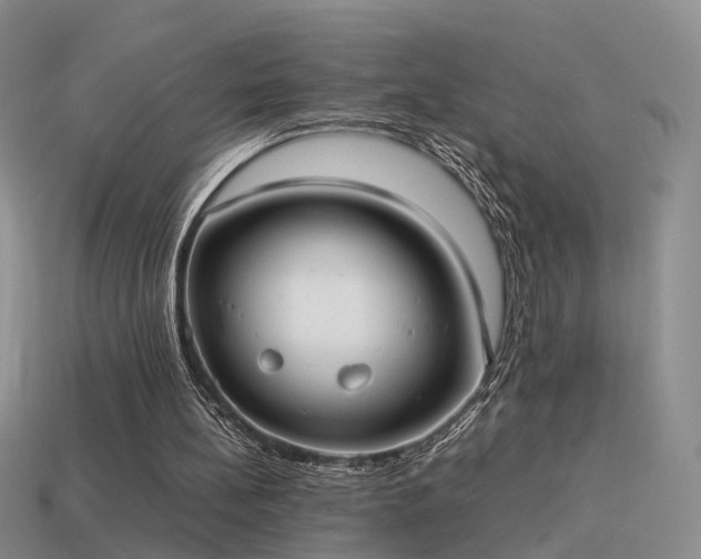 X0000114150148200910151552