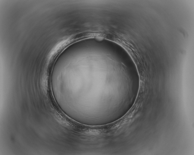 X0000114150149200910151552